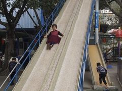 -顺德大良半月城游乐场