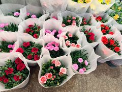 -双季花艺园艺市场(浦东店)