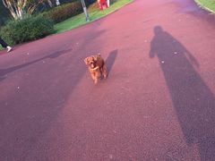 -杭州城北体育公园