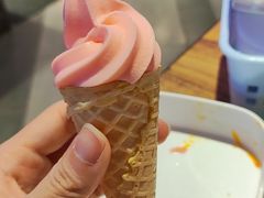 雪糕-蒙肥羊·酸汤潮牛·鲜牛肉火锅烤肉自助(岗顶店)
