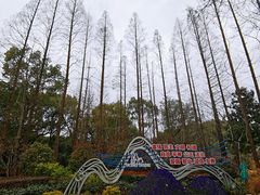 -徐家汇源景区-衡山公园