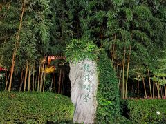 -十八棵（老龙井）御茶园(老龙井店)