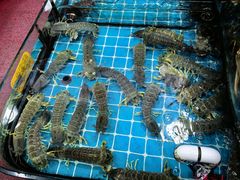 -醉壹号海鲜大排档·老厦门特色菜(厦门美食地标店)