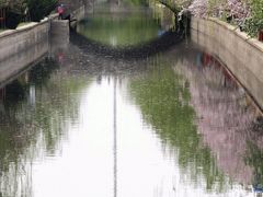 -海棠花溪(元大都城垣遗址公园)