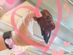 -烧鹅妹饭店