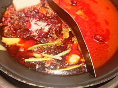-巴蜀大将火锅(春熙店)