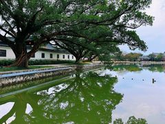 -江心屿景区