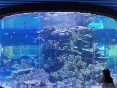 -左海海底世界