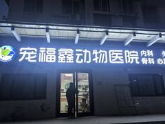 -宠福鑫动物医院(城北分院)
