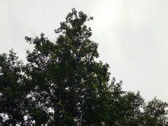 -佛爷洞旅游景区