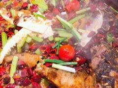 -老板恋上鱼(恒隆广场店)