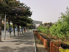 -吉林大学(前卫南区)