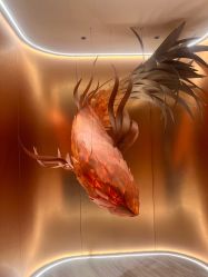 -禾美科技美肤·芳香疗愈SPA联合会所