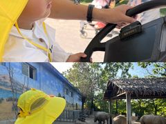 -西安秦岭野生动物园