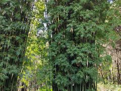 -蝴蝶泉公园