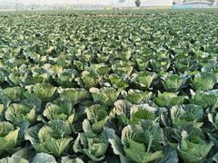 -中国天府农业博览园