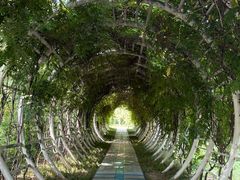 -郑州植物园