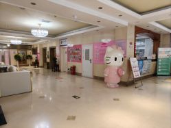 -北京俪婴妇产医院(朝阳大悦城店)