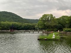 景点-旺山景区