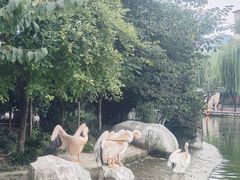 -成都动物园