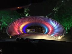 -枫花园汽车电影院(朝阳公园店)