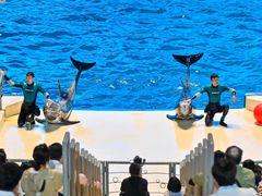 -泉城欧乐堡海洋极地世界