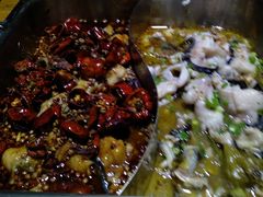 -齐祺渔锅(文苑路店)