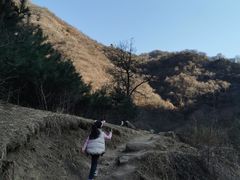 -抱龙峪