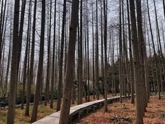 -上海怡沁园度假酒店