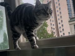 -达爱动物医院·犬猫分区·CT·复杂眼科(远洋山水分院)