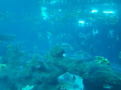 android_upload_pic-成都浩海立方海洋公园