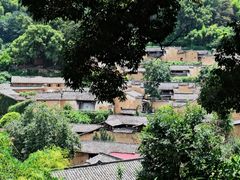-杨家堂村