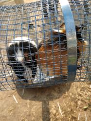 -萌宠亲子动物乐园(槐房万达店)