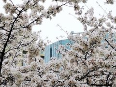 -西北湖绿化广场