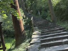 -天目山-昭明禅寺