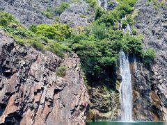 -上海辰山植物园