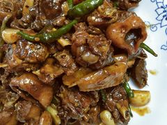 -光辉公鸡馆(事业小区店)