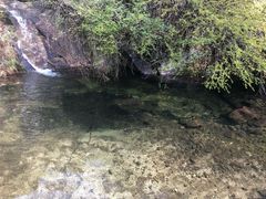 -王顺山国家森林公园