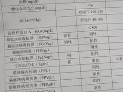 -宠瑞康动物医院