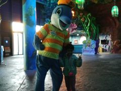 -青岛嘉年华主题乐园