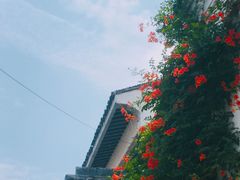 -山塘街