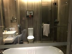 -常州环球恐龙城维景国际大酒店