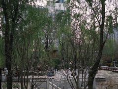 -莲湖公园