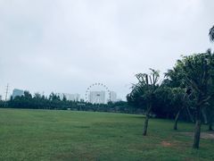 -万绿园