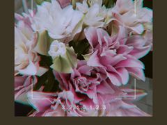 -植物学家的女儿(北马道巷店)