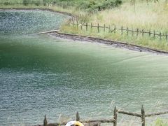 -武陵山森林公园