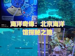 -北京海洋馆