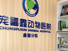 -宠福鑫康馨动物医院·骨科·眼科
