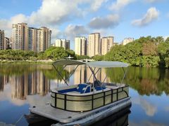 -新江湾城公园