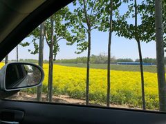 -天津武清北运河郊野公园房车露营地